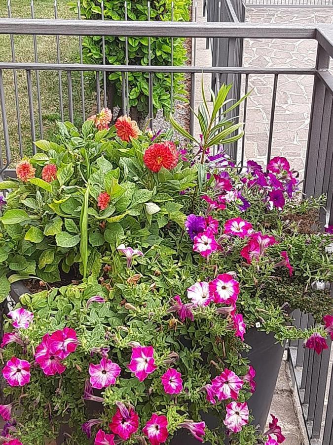Casa Vacanze Da Cinzia Zanica Zewnętrze zdjęcie