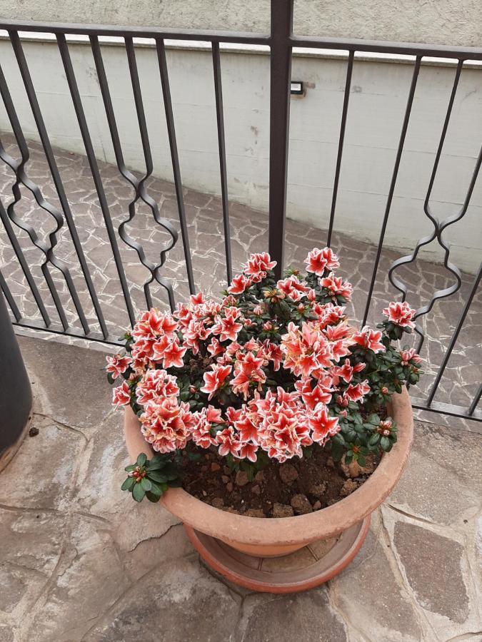 Casa Vacanze Da Cinzia Zanica Zewnętrze zdjęcie